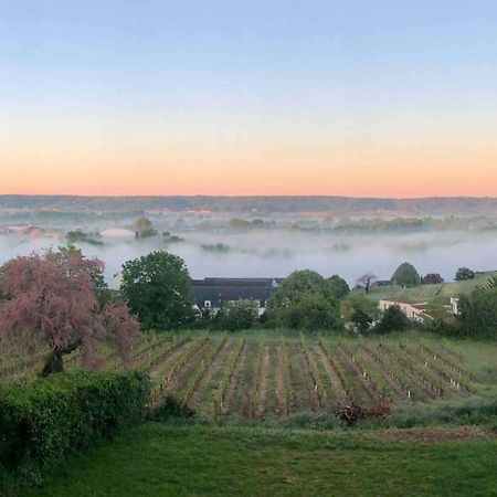 Maison Vue Panoramique Depuis Le Coteau De Chinon Extérieur photo